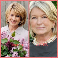 Martha Stewart Plastic Surgery: Public Discussion and Opinions