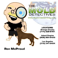 Mold Detective