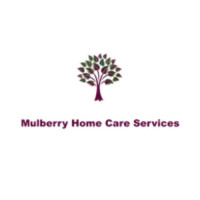 Mulberry Home Care Services Ltd