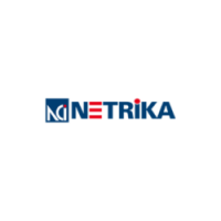 Netrika Consulting India Pvt. Ltd.