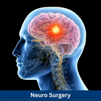Top Neuro Surgeon Artemis Hospital Gurgaon