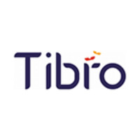Tibro Tours – Crafting Journeys Beyond Ordinary