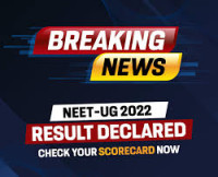 Your news companion