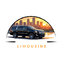 City view limousine inc
