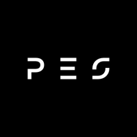 Professional Energy Services Ltd