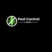 Expert Pest Control Dubai