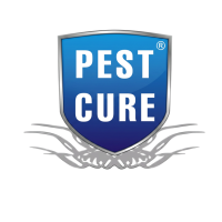 Pest Cure Incorporation - Best Pest Control Services Company in Delhi NCR