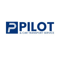 Pilot And Car