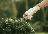 Pressure Washing Victoria