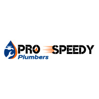 Pro Speedy Plumbers