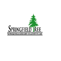 Tree Removal Delaware County