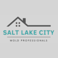 Salt Lake City Mold Removal Solutions