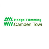 Hedge Trimming Camden Town