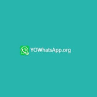 Yo whatsapp download apk- Official Website