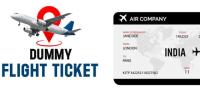 Get Your Dummy Flight Ticket Today