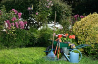 Local Gardener