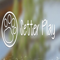 Setter Play