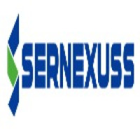 Sernexuss Immigration Consultants in Delhi