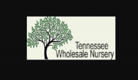 Tennessee Wholesale Nursery LLC