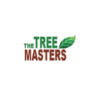 The Tree Masters