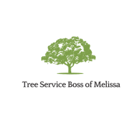 Tree Service Boss of Melissa