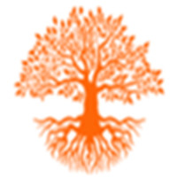 Reliable Tree Surgeon Services for Your Garden Needs