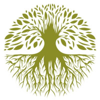 Blackpool Tree Surgeon