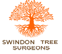 Reliable Tree Surgeon Swindon