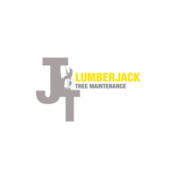 Lumberjack Tree Maintenance - Tree Surgeon in Bromley