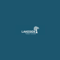 Tree Surgeons Cheadle