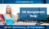 Professional Assignment Help UK Service from Top Experts