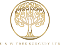 U & W Tree Surgery Ltd | Tree Surgeon Cambridgeshire