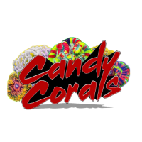 Best Aquarium Fish Tank Filters | Candy Corals Canada