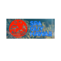 Saunas - Spa Guy Hawaii