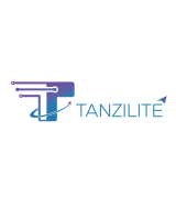 Tanzilite digital Marketing Agency