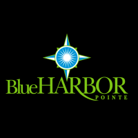 Blue Harbor Pointe Car Wash