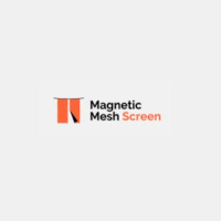 Magnetic screen