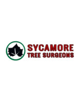 Sycamore Tree Surgeons