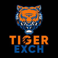 Tigerexch247 ID Offers Fast, Reliable Cricket Updates Round the Clock