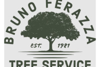 Bruno Ferazza Tree Service