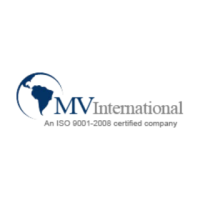 MV INTERNATIONAL – Advanced Industrial Heating Solutions