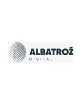Top Digital Marketing Agency in India - Albatroz Digital
