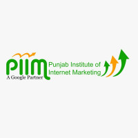 PIIM Website Designing Course in Patiala with Modern Approach