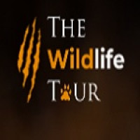 The Wildlife Tour – Tiger & Culture Safaris in India
