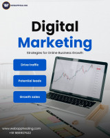 Leading Digital Marketing Agency in Noida – WebAppHealing