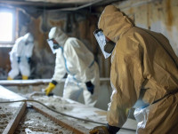 Asbestos Removal Specialists Ltd
