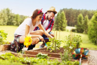 Landscapers Sydenham