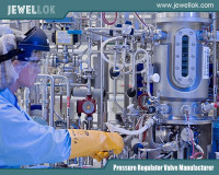 Shenzhen Jewellok Technology Co., Ltd