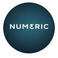 Numeric Consultants India