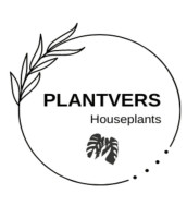 Plantvers